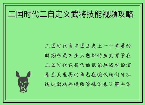 三国时代二自定义武将技能视频攻略